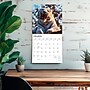2027 BrownTrout White Tigers 12" x 12" Monthly Wall Calendar (9798330712144)~#|#~sp320856221_sc7