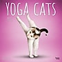 2027 BrownTrout Yoga Cats 12" x 12" Monthly Wall Calendar (9798330713509)~#|#~sp320857081_sc7