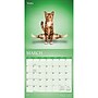 2027 BrownTrout Yoga Cats 12" x 12" Monthly Wall Calendar (9798330713509)~#|#~sp320857083_sc7