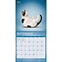 2027 BrownTrout Yoga Cats 12" x 12" Monthly Wall Calendar (9798330713509)~#|#~sp320857103_sc7