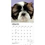 2027 BrownTrout Shih Tzu Puppies 12" x 12" Monthly Wall Calendar (9798330712687)~#|#~sp320857168_sc7