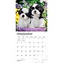 2027 BrownTrout Shih Tzu Puppies 12" x 12" Monthly Wall Calendar (9798330712687)~#|#~sp320857173_sc7