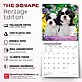 2027 BrownTrout Shih Tzu Puppies 12" x 12" Monthly Wall Calendar (9798330712687)~#|#~sp320857175_sc7