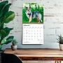 2027 BrownTrout Shetland Sheepdogs 12" x 12" Monthly Wall Calendar (9798330712663)~#|#~sp320857377_sc7