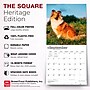 2027 BrownTrout Shetland Sheepdogs 12" x 12" Monthly Wall Calendar (9798330712663)~#|#~sp320857380_sc7