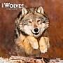 2027 BrownTrout Wolves 12" x 12" Monthly Wall Calendar (9798330712151)~#|#~sp320857527_sc7