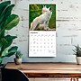 2027 BrownTrout Wolves 12" x 12" Monthly Wall Calendar (9798330712151)~#|#~sp320857538_sc7