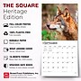 2027 BrownTrout Wolves 12" x 12" Monthly Wall Calendar (9798330712151)~#|#~sp320857540_sc7