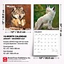 2027 BrownTrout Wolves 12" x 12" Monthly Wall Calendar (9798330712151)~#|#~sp320857541_sc7