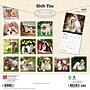 2027 BrownTrout Shih Tzu 12" x 12" Monthly Wall Calendar (9798330712670)~#|#~sp320857660_sc7