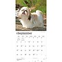 2027 BrownTrout Shih Tzu 12" x 12" Monthly Wall Calendar (9798330712670)~#|#~sp320857662_sc7