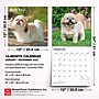 2027 BrownTrout Shih Tzu 12" x 12" Monthly Wall Calendar (9798330712670)~#|#~sp320857665_sc7