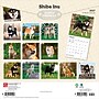2027 BrownTrout Shiba Inu 12" x 12" Monthly Wall Calendar (9798330714506)~#|#~sp320857865_sc7