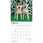2027 BrownTrout Shiba Inu 12" x 12" Monthly Wall Calendar (9798330714506)~#|#~sp320857866_sc7