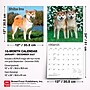 2027 BrownTrout Shiba Inu 12" x 12" Monthly Wall Calendar (9798330714506)~#|#~sp320857892_sc7
