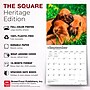2027 BrownTrout Rhodesian Ridgebacks 12" x 12" Monthly Wall Calendar (9798330712618)~#|#~sp320858332_sc7