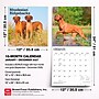 2027 BrownTrout Rhodesian Ridgebacks 12" x 12" Monthly Wall Calendar (9798330712618)~#|#~sp320858333_sc7