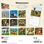 2027 BrownTrout Weimaraners 12" x 12" Monthly Wall Calendar (9798330714605)~#|#~sp320858440_sc7