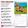 2027 BrownTrout Weimaraners 12" x 12" Monthly Wall Calendar (9798330714605)~#|#~sp320858463_sc7