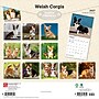 2027 BrownTrout Welsh Corgis 12" x 12" Monthly Wall Calendar (9798330714612)~#|#~sp320858743_sc7
