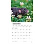 2027 BrownTrout Rats 12" x 12" Monthly Wall Calendar (9798330711949)~#|#~sp320859117_sc7
