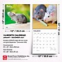 2027 BrownTrout Rats 12" x 12" Monthly Wall Calendar (9798330711949)~#|#~sp320859124_sc7
