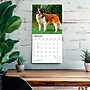 2027 BrownTrout Saint Bernards 12" x 12" Monthly Wall Calendar (9798330712632)~#|#~sp320859665_sc7
