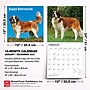 2027 BrownTrout Saint Bernards 12" x 12" Monthly Wall Calendar (9798330712632)~#|#~sp320859671_sc7