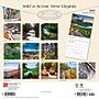 2027 BrownTrout West Virginia Wild & Scenic 12" x 12" Monthly Wall Calendar (9798330710973)~#|#~sp320859757_sc7