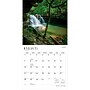2027 BrownTrout West Virginia Wild & Scenic 12" x 12" Monthly Wall Calendar (9798330710973)~#|#~sp320859758_sc7