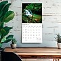 2027 BrownTrout West Virginia Wild & Scenic 12" x 12" Monthly Wall Calendar (9798330710973)~#|#~sp320859798_sc7