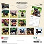 2027 BrownTrout Rottweilers 12" x 12" Monthly Wall Calendar (9798330712625)~#|#~sp320859805_sc7