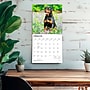 2027 BrownTrout Rottweilers 12" x 12" Monthly Wall Calendar (9798330712625)~#|#~sp320859808_sc7
