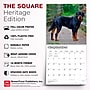 2027 BrownTrout Rottweilers 12" x 12" Monthly Wall Calendar (9798330712625)~#|#~sp320859809_sc7