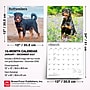 2027 BrownTrout Rottweilers 12" x 12" Monthly Wall Calendar (9798330712625)~#|#~sp320859813_sc7