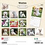 2027 BrownTrout West Highland White Terriers 12" x 12" Monthly Wall Calendar (9798330712724)~#|#~sp320859962_sc7