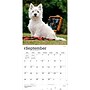 2027 BrownTrout West Highland White Terriers 12" x 12" Monthly Wall Calendar (9798330712724)~#|#~sp320859964_sc7
