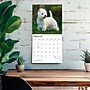 2027 BrownTrout West Highland White Terriers 12" x 12" Monthly Wall Calendar (9798330712724)~#|#~sp320859965_sc7