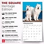 2027 BrownTrout Samoyeds 12" x 12" Monthly Wall Calendar (9798330712649)~#|#~sp320860078_sc7