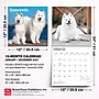 2027 BrownTrout Samoyeds 12" x 12" Monthly Wall Calendar (9798330712649)~#|#~sp320860079_sc7