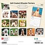 2027 BrownTrout Soft Coated Wheaten Terriers 12" x 12" Monthly Wall Calendar (9798330714629)~#|#~sp320860113_sc7