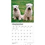 2027 BrownTrout Soft Coated Wheaten Terriers 12" x 12" Monthly Wall Calendar (9798330714629)~#|#~sp320860115_sc7