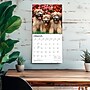 2027 BrownTrout Soft Coated Wheaten Terriers 12" x 12" Monthly Wall Calendar (9798330714629)~#|#~sp320860116_sc7