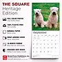 2027 BrownTrout Soft Coated Wheaten Terriers 12" x 12" Monthly Wall Calendar (9798330714629)~#|#~sp320860118_sc7