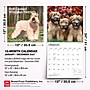 2027 BrownTrout Soft Coated Wheaten Terriers 12" x 12" Monthly Wall Calendar (9798330714629)~#|#~sp320860119_sc7