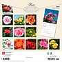 2027 BrownTrout Roses 12" x 12" Monthly Wall Calendar (9798330711345)~#|#~sp320860182_sc7