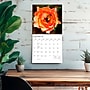 2027 BrownTrout Roses 12" x 12" Monthly Wall Calendar (9798330711345)~#|#~sp320860185_sc7