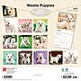 2027 BrownTrout West Highland White Terrier Puppies 12" x 12" Monthly Wall Calendar (9798330710119)~#|#~sp320860247_sc7