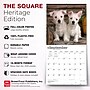 2027 BrownTrout West Highland White Terrier Puppies 12" x 12" Monthly Wall Calendar (9798330710119)~#|#~sp320860271_sc7