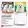 2027 BrownTrout West Highland White Terrier Puppies 12" x 12" Monthly Wall Calendar (9798330710119)~#|#~sp320860272_sc7